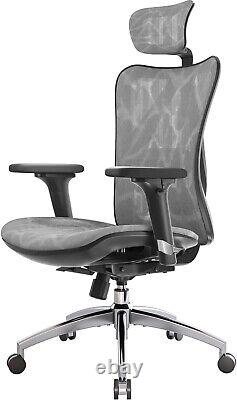 Ergonomic Office Chair Mesh Desk Chair with Adjustable Lumbar Support 3D Grey