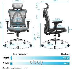 Ergonomic Office Chair Mesh Desk Chair with Adjustable Lumbar Support 3D Grey