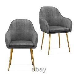 Set of 2 Dining Chairs Padded Accent Side Chairs Armchair Removable Cushion