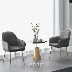 Set of 2 Dining Chairs Padded Accent Side Chairs Armchair Removable Cushion