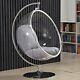 Transparent Egg Chair With Grey Cushion