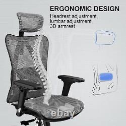 Chaise de bureau ergonomique Chaise de bureau en maille avec support lombaire réglable 3D Gris